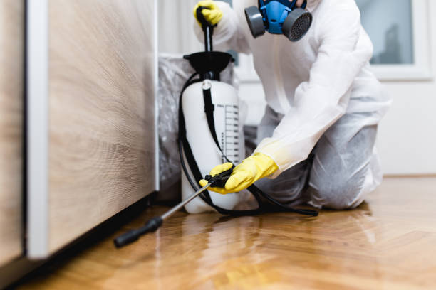 Best Pest Removal Services  in Ukiah, CA