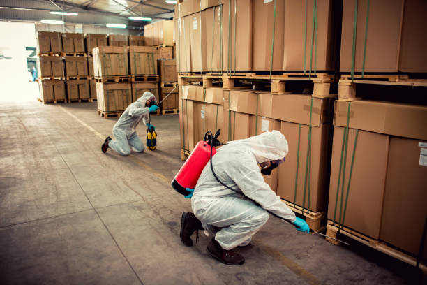Best Affordable Pest Control Services  in Ukiah, CA