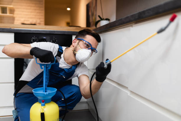 Best Wasp Removal Services  in Ukiah, CA
