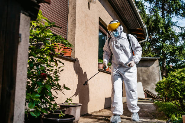 Best Emergency Pest Control  in Ukiah, CA