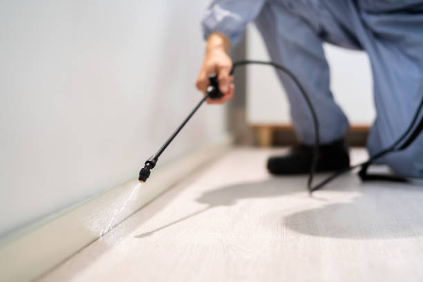 Pest Prevention Services in Ukiah, CA