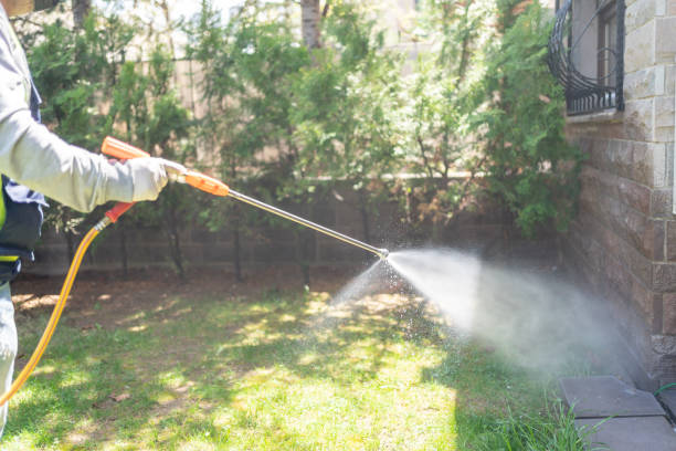 Best Pest Prevention Services  in Ukiah, CA