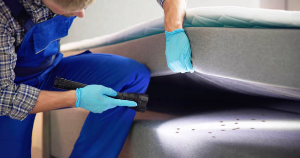 Best Commercial Pest Control Services  in Ukiah, CA