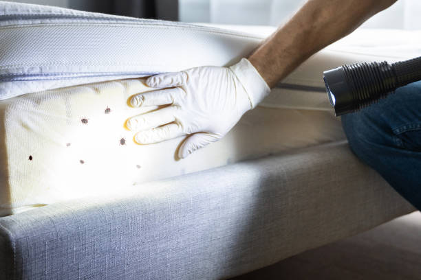 Best Wildlife Control Services  in Ukiah, CA