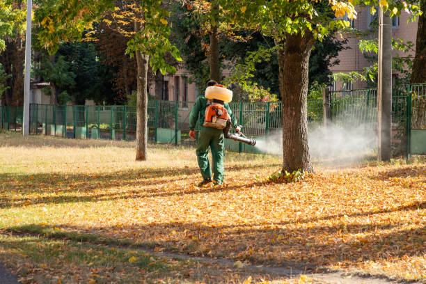 Pest Control for Restaurants in Ukiah, CA