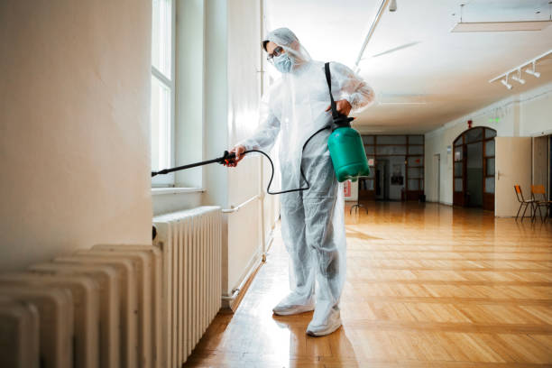 Best Ant Control Services  in Ukiah, CA